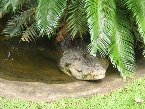s_A_PICT0061.jpg